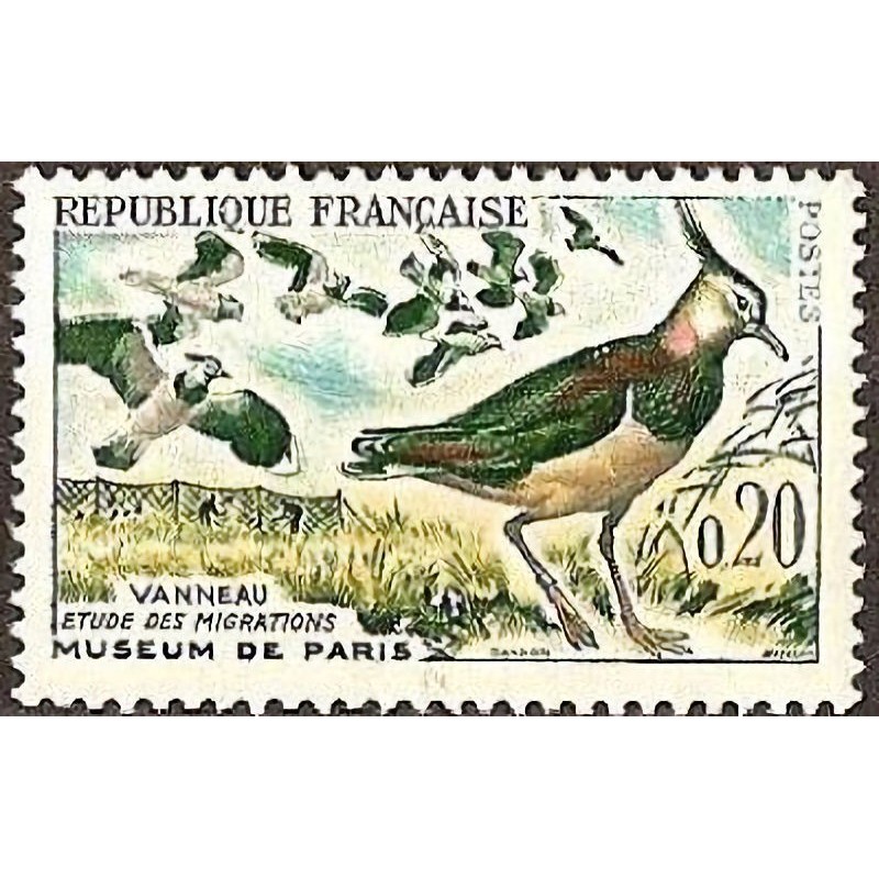 n°1273 0F20 Vanneaux