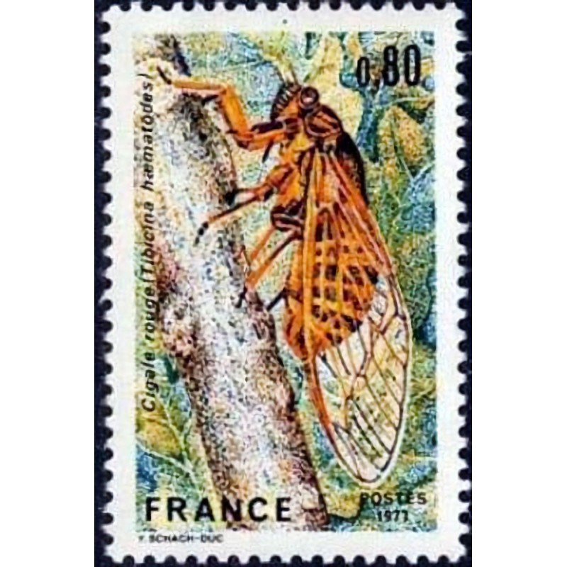 n°1946 0F80 Cigale rouge