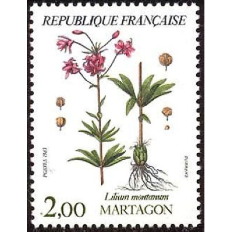 n°2267 2F. Martagon