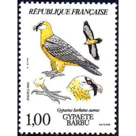 n°2337 1F. Gypaète barbu