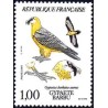 n°2337 1F. Gypaète barbu