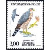 n°2339 3F. Epervier d'Europe