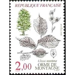 n°2385 2F. Orme de montagne