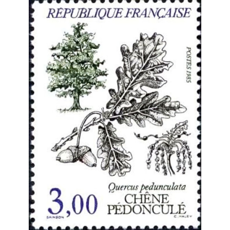 n°2386 3F Chêne pédonculé