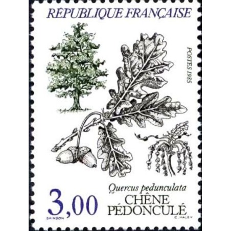 n°2386 3F Chêne pédonculé