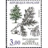 n°2386 3F Chêne pédonculé