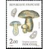 n°2488 2F. Indigotier