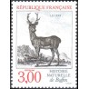 n°2540 3F. Cerf