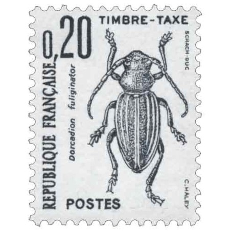 Taxe 104 0F20. Coléoptères