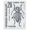 Taxe 104 0F20. Coléoptères