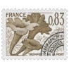 Préo 159 0F83 Champignons
