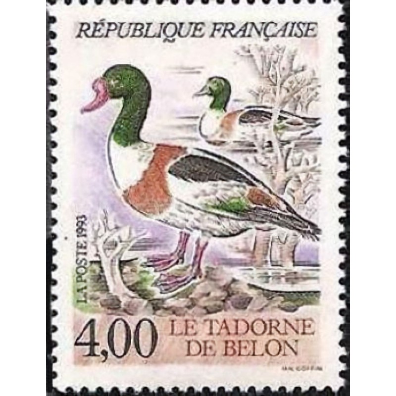 n°2787 4F. Tadorne de Belon