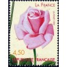 n°3250 4F50 Roses anciennes