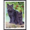 n°3283 2F70 Le chartreux