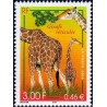 n°3333 3F Girafe