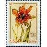 n°3335 4F50 Tulipa lutea