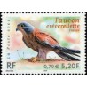 n°3361 5F20. Faucon crécelerette